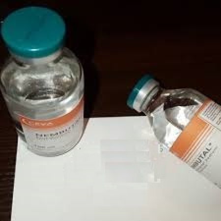 Nembutal (pentobarbital) for sale in Gqeberha+27 81 850 2816