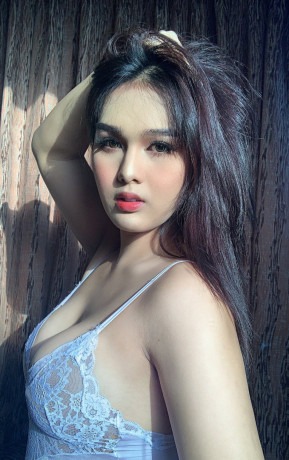 VIP✔️ Young Call Girls in Hyatt Regency Gurugram Hotel (Gurgaon) ✨9643727424✔️ Delhi Escorts Service in Delhi NCR