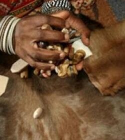 5261498_1609156084_0Sangoma