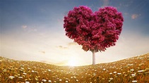 Bring Back Lost Lover 0783038210